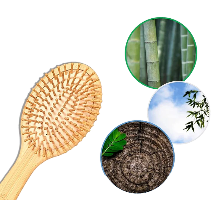 Natural Wooden Hair Brush
